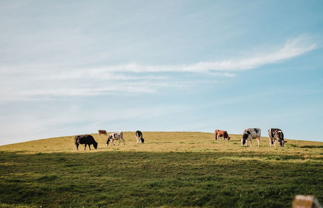 Posada Somavilla - Foto 26