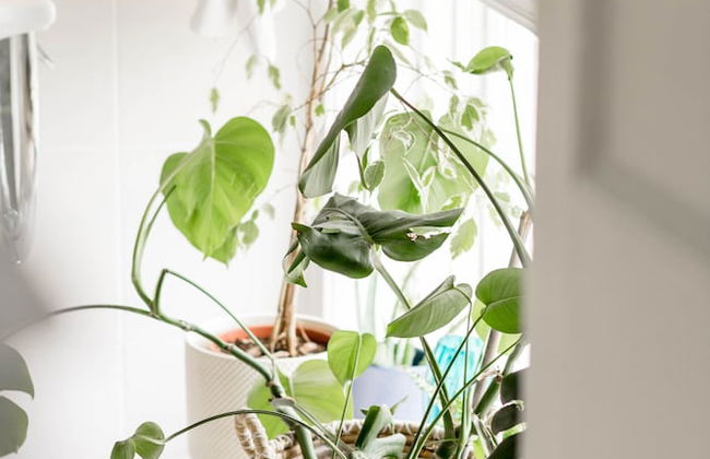 Sweeney Hall Hotel - Foto 42