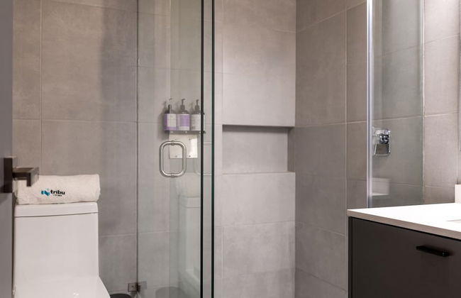 Tribu San Martín Chapultepec - Foto 77