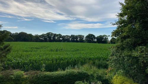 Ferienwohnung Berta 25508 - Foto 2