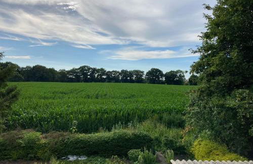 Ferienwohnung Berta 25508 - Foto 2