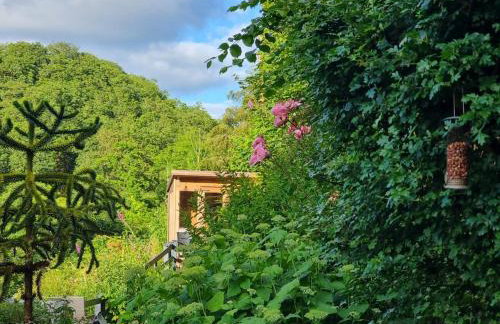 Cosy Cottage overlooking the Teifi Gorge - Foto 19