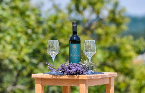 Gorgeous Home In Martinkovec With Sauna - Foto 23