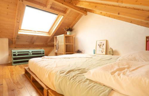 Tribo da Praia - Foto 38