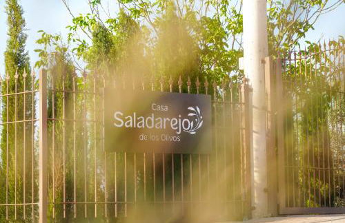Casa Saladarejo de los Olivos - Foto 10