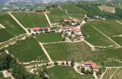 Agriturismo Finestre di Langa - Foto 9