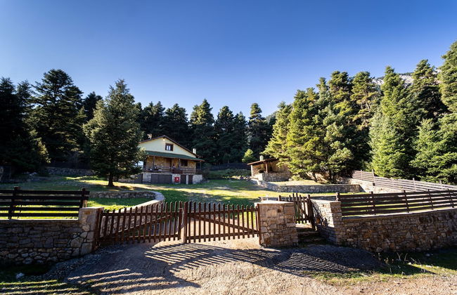 Dandy Villas Elatodasos Chalet Artemis - Foto 24