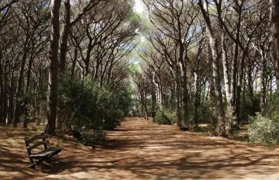 Bilocale primo piano Marina di Cecina - Foto 21