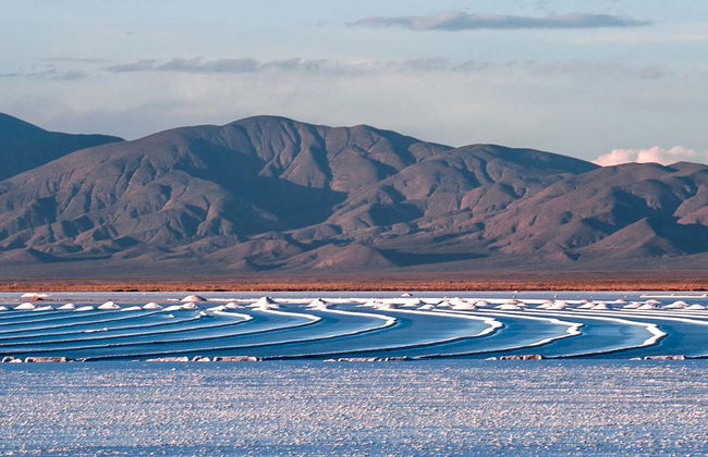 Excursión a las Salinas Grandes - Foto 6