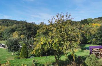 Ferienwohnung Rhön Natur - Foto 15