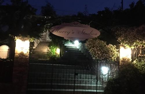 Harry's Studios - Photo 66