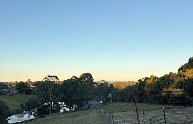 Blueberry Hills on Comleroy - Photo 51