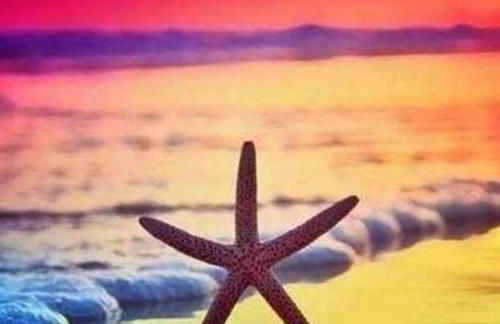 Monthly rental, Coronado Resort Style Town Home - Foto 21