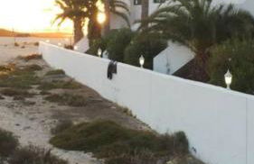 Apartamentos Albaula 5 - Foto 24