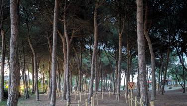 Casa vacanza - Villa Dalila - Foto 5