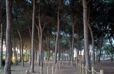 Casa vacanza - Villa Dalila - Foto 5