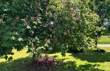 FeWo Olivia - Foto 1