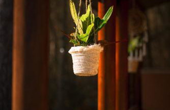 Kajaki wino i śpiew - domek z sauną w otoczeniu lasów i sąsiedztwie zalewu - Foto 19