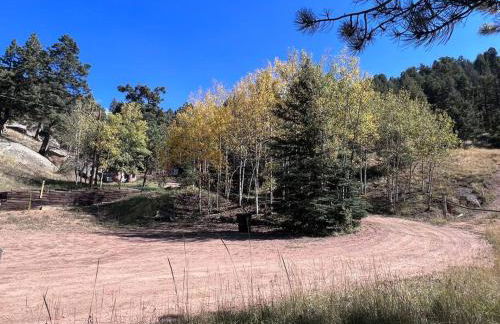 Cozy Cabin - Foto 24