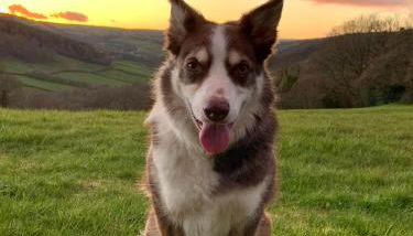 Ty Glo Cottage - Foto 3