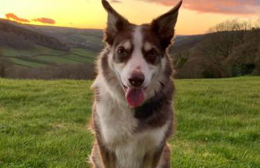 Ty Glo Cottage - Photo 3