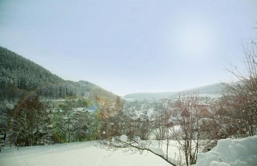 Haus Alexandra inkl MeineCard Plus - Foto 17