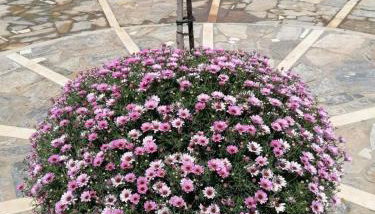 Family Apartments 4 - Foto 2