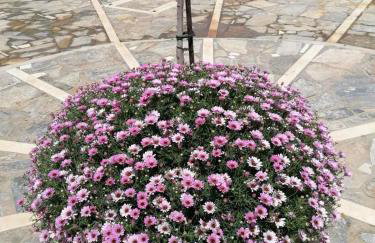 Family Apartments 4 - Foto 2