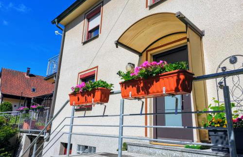 FeWo Ulbrich Langenstadt - Foto 43