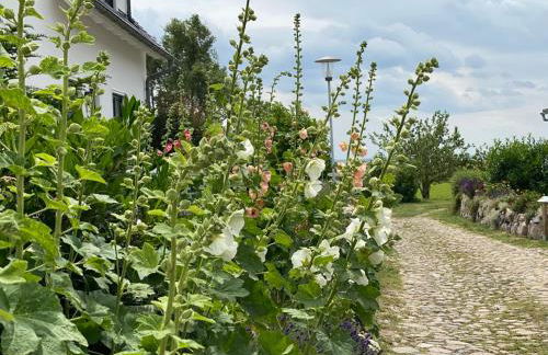 Ferienwohnung Groß Zicker - Foto 14