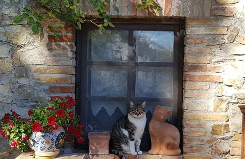 Podere Piandicava - Foto 6