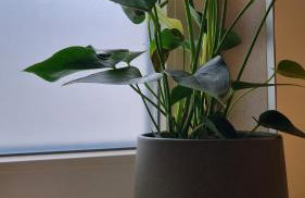 outsideIN Lightstudio - Photo 17