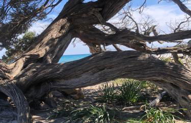 Casa Sa Murta - Foto 5