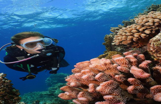 Silversonic Outer Barrier Reef Cruise from Port Douglas - Foto 4