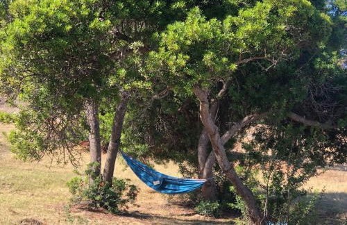 Résidence Punta paliagi - Foto 45