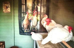 Ettore 3-bed Villa - Sleeps 6, Garden & Parking - Foto 118