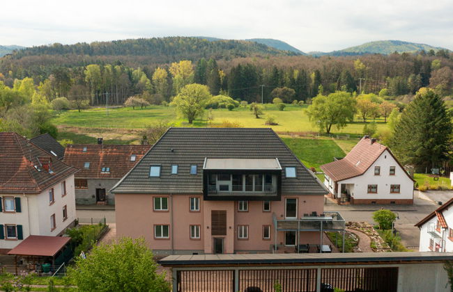 4 bedroom Apartment in Fischbach bei Dahn with garden and terrace - Photo 34