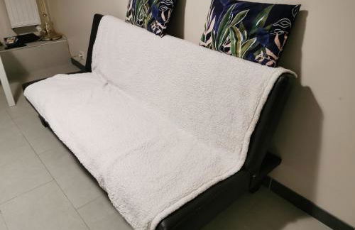 Appartement Océan - Grand Bleu - Foto 29