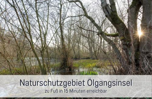 Rheinblick7 Neuss - Spektakulärer Blick auf die Düsseldorfer Skyline - Ruhig Modern Privatparkplatz Aufzug - Top Anbindung an Messe Flughafen Hauptbahnhof - Foto 32