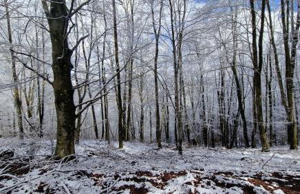 La Cabanya de Can Ganasta - Photo 53