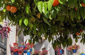 Casa Gibraltar - Foto 120