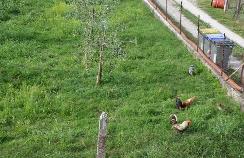 Nonna Alda - Foto 34