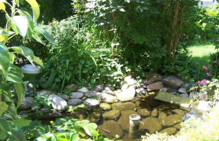 Haus Hildegard - Foto 14