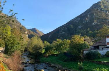 La Nozaleda - Foto 13