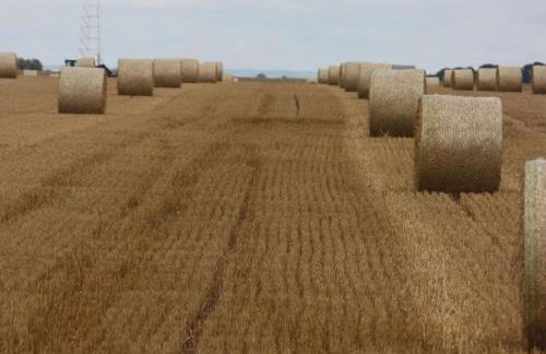 Poggenhof/ West Requits - Foto 36