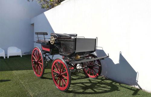 Jardim de Copas - Foto 26