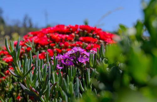 Recanto das Florenças (2) - Photo 66