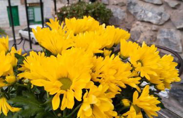 Gure Idorpea - Foto 33