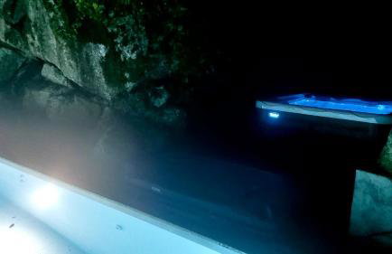 Casa Pinhão De Sousa - Photo 25