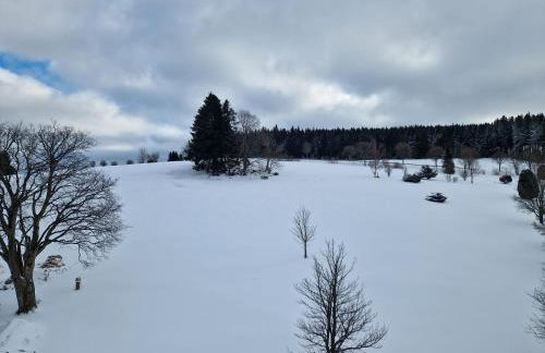 VilaMi Ferienwohnung - Foto 30